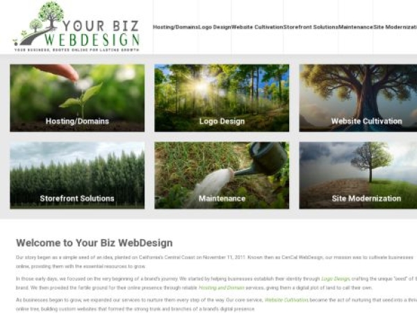 yourbizwebdesign.com